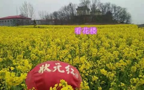 上蔡“看花楼”西侧的这块地，终于开工了！-上蔡头条